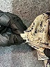 Unbranded 100% Polyester Animal Print Gold Shorts Size L - photo 4
