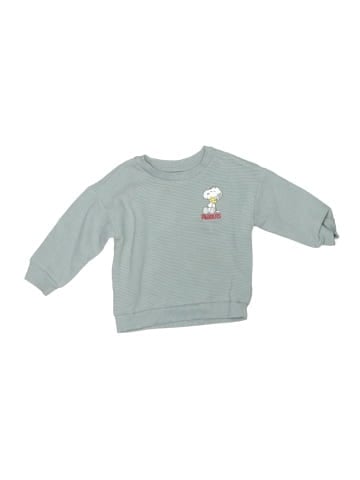 Peanuts Sweatshirt (view 1)
