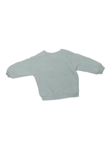 Peanuts Sweatshirt (view 2)