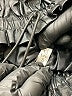 Assorted Brands Metallic Black Shorts Size S - photo 3