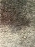 Nine West Plaid Brown Dress Pants Size M - photo 8