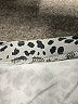 Unbranded Animal Print Gray Short Sleeve Blouse Size XXL - photo 7