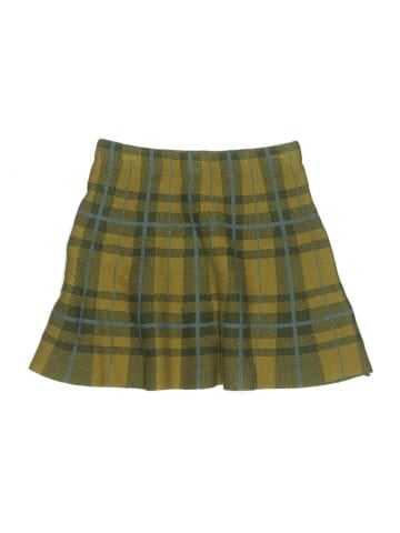 T.J. Maxx Skirt (view 1)