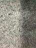 Mi ami Ivory Cardigan Size M - photo 7