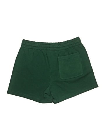 Original Use Shorts (view 2)