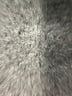 Made for Life Black Jeans Size 14L - photo 8