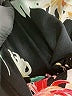 Zara Basic Floral Black Jumpsuit Size S - photo 5