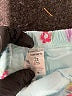 Carter's 100% Cotton Floral Blue Skirt Size 2T - photo 3