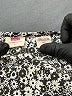 Levi's Black 3/4 Sleeve Blouse Size L - photo 7