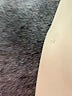 Calvin Klein Tan Ivory Blazer Size 20 - photo 7