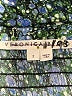 Veronica Beard Paisley Blue Casual Dress Size 2 - photo 6