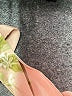 Lulus 100% Polyester Purple Cocktail Dress Size M - photo 7