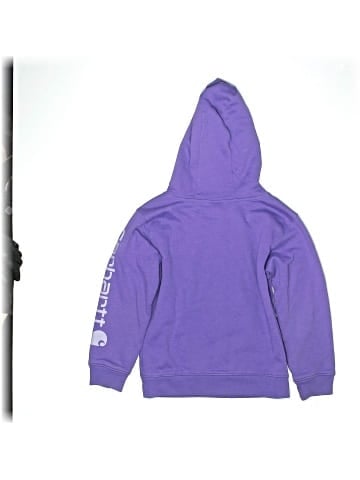Carhartt Pullover Hoodie (view 2)