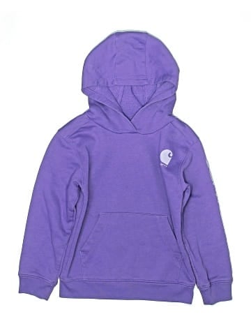 Carhartt Pullover Hoodie (view 1)