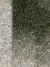 Topshop Black Active Pants Size 2 - photo 5