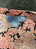 Dil Paisley Pink Cocktail Dress Size 2 - photo 7