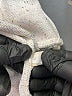 Next 100% Cotton Ivory Pullover Sweater Size L - photo 8