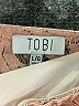 TOBI Pink Tan Romper Size L - photo 4