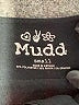 Mudd Black Casual Dress Size S - photo 7