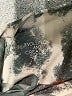 Evolution and Creation Tie-dye Gray Casual Pants Size S - photo 7