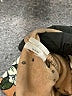 Assorted Brands Floral Brown Zip Up Hoodie Size L - photo 8