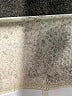 Active Paisley Silver Casual Pants Size XL - photo 7