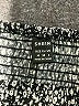 Shein Animal Print Gray Skort Size 6 - photo 3