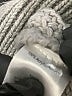 Venus Gray Cardigan Size 1X - photo 9