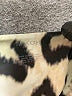Mikoh Animal Print Ivory Swimsuit Bottoms Size Lg (3) - photo 3