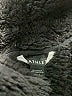 Athleta Black Jacket Size S - photo 6