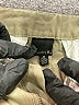 Hurley Solid Tan Khaki Shorts Size 3 - photo 3