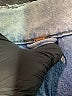 Assorted Brands Blue Denim Jacket Size M - photo 6