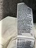 Gap Solid Ivory Shorts Size 2 - photo 5