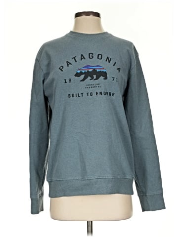 Patagonia Sweatshirt (view 1)