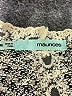 Maurices Ivory Cardigan Size M - photo 7