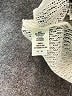 Truself Ivory Short Sleeve Blouse Size L - photo 8