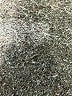 Assorted Brands Solid Gray Athletic Shorts Size S - photo 5