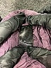 Stella Luce 100% Polyester Hearts Purple Active Pants Size L - photo 8