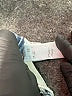 MOUSSY VINTAGE Blue Jeans Size 28 waist - photo 8