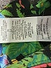 up! Floral Green Casual Pants Size 4 - photo 9