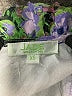 Jade 100% Polyester Floral Green Casual Dress Size XS - photo 7