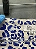 Kim Rogers Animal Print Blue Board Shorts Size 6 - photo 3