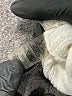 Calvin Klein Ivory Pullover Sweater Size L - photo 6