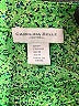 Carolina Belle 100% Polyester Green Long Sleeve Blouse Size M - photo 6