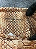 WeWoreWhat Animal Print Brown Casual Pants Size XS - photo 4