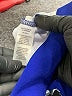 Phase Seven Blue Casual Dress Size 12 - photo 8