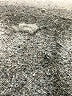 Unbranded White Casual Dress Size M (estimated) - photo 7