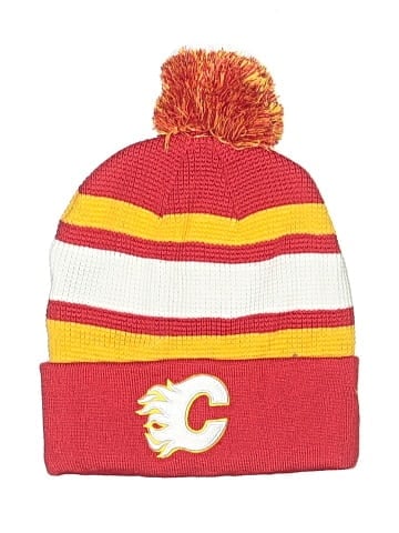 Fanatics Beanie (view 1)