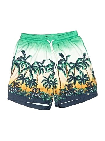 INC International Concepts Board Shorts (view 1)