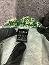 Shein Green Casual Dress Size 6 - photo 7